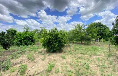 Imagem: A fazenda possui 1.000m² de Área e está localizado em Coração