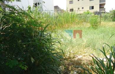 Imagem 6: Rio de Janeiro - Terreno Padrão - Recreio dos Bandeirantes
