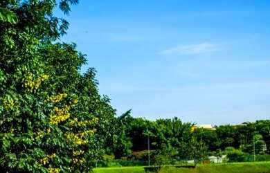 Imagem 12: Lote para venda possui 509 metros quadrados em Jardins Lisboa - Goiânia - GO