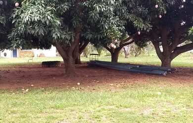 Imagem 12: Area na comunidade Barra do Bom Jardim/ Lago do Manso