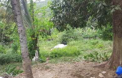 Imagem 7: Rio de Janeiro - Terreno Padrão - Recreio dos Bandeirantes