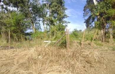 Imagem 1: Terreno. 1.000m² de Área
