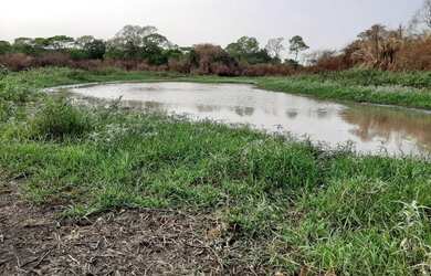 Imagem: A fazenda possui 17.000.000m² de Área e está localizado