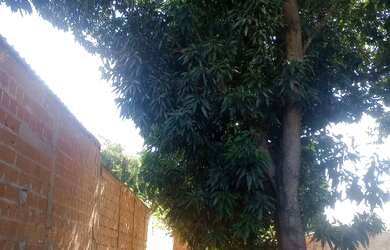 Imagem: O terreno possui 200m² de Área e está localizado em Bandeirantes