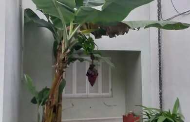 Imagem 4: Locação Casa PORTO ALEGRE RS Brasil