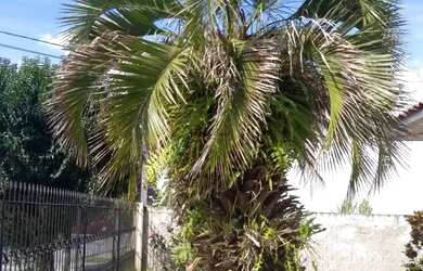 Imagem 10: Terreno ZR3 com 555m² no Bairro Boa Vista, Excelente Oportunidade para...