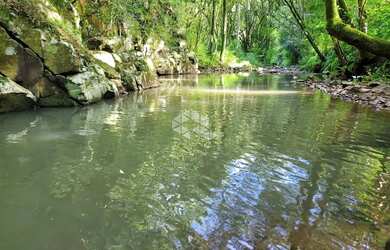 Imagem 3: Área de terras com 5,7 hectares com cachoeiras na serra gaúcha