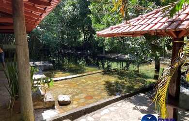 Imagem 13: Fazenda à Venda em Sanclerlândia - GO 39 Alqueires 100 Cultura