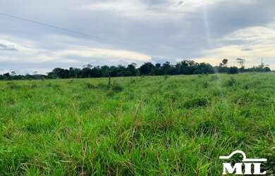 Imagem: A fazenda está localizado em Conceição do Coité, BA à venda
