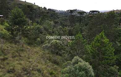 Imagem 8: Belo Terreno à Venda na Região do Alto da Boa Vista - Campos do Jordão/SP