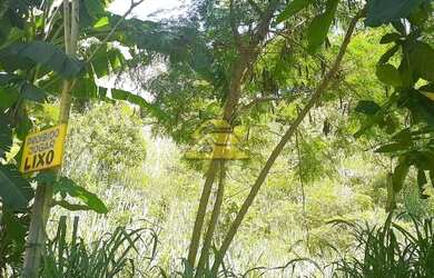 Imagem 16: Rio de Janeiro - Terreno Padrão - Freguesia Jacarepaguá