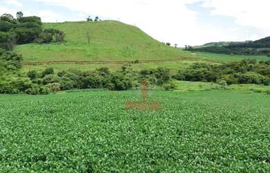 Imagem: A fazenda possui 2.819.300m² de Área e está localizado em
