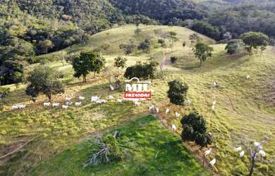 Imagem 6: Fazenda de 91 alqueires 440.44 Ha em Santa Cruz de Goiás