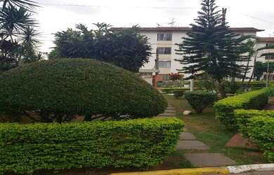 Imagem 3: São Paulo - Apartamento Padrão - Vila Nova Cachoeirinha