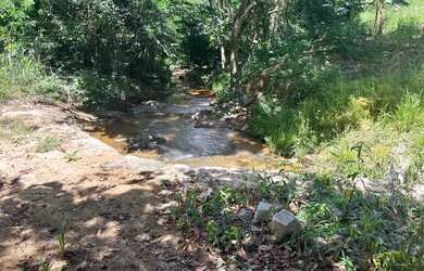 Imagem 9: Fazenda com 22 hectares Santana do Mundaú