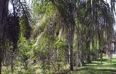 Imagem 13: Chacara pertinho da praia em Vilatur - Saquarema - RJ