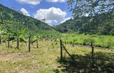 Imagem 2: Fazenda com 22 hectares Santana do Mundaú