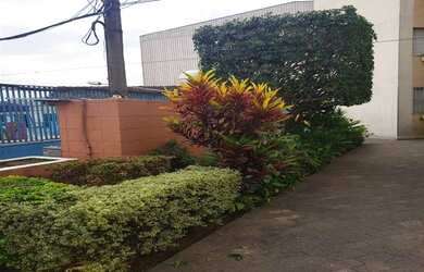 Imagem 5: São Paulo - Apartamento Padrão - Vila Nova Cachoeirinha