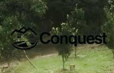 Imagem 2: Fazendinha 15 Hectares - Caetano José - Bonfim - MG