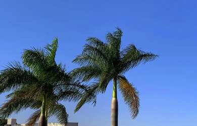 Imagem: O terreno possui 400m² de Área e está localizado em Ponte