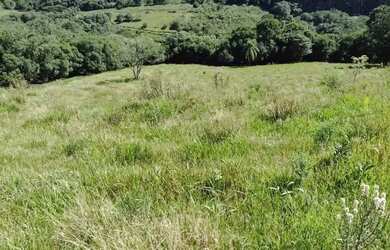 Imagem 4: Chácara na Mulada