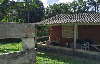 Imagem 2: Super chacrinha 157 mil reais teteinha