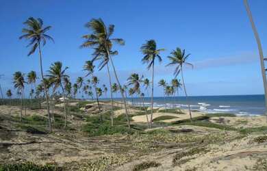 Imagem: O terreno possui 82541m² de Área e está localizado em Conde