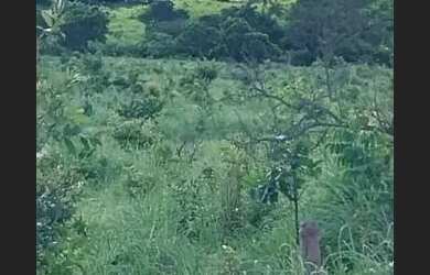 Imagem: A fazenda possui 1.370.000m² de Área e está localizado em