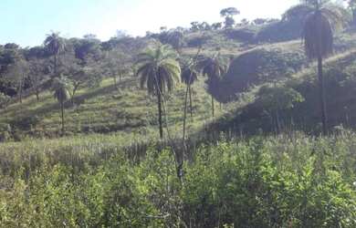 Imagem: O terreno está localizado em Jaboticatubas, MG à venda por