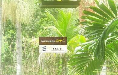 Imagem 15: Fazenda/Sítio/Chácara para venda tem 2200 metros quadrados