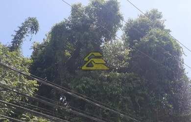 Imagem 2: Rio de Janeiro - Terreno Padrão - Freguesia Jacarepaguá