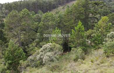 Imagem 12: Belo Terreno à Venda na Região do Alto da Boa Vista - Campos do Jordão/SP