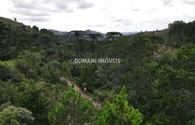 Imagem 11: Belo Terreno à Venda na Região do Alto da Boa Vista - Campos do Jordão/SP