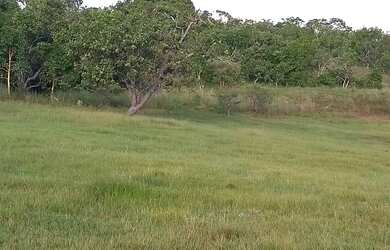 Imagem 2: Area na comunidade Barra do Bom Jardim/ Lago do Manso