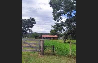 Imagem 3: Fazenda 38 Alqueires Vale do Araguaia