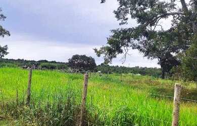 Imagem 6: Fazenda 38 Alqueires Vale do Araguaia