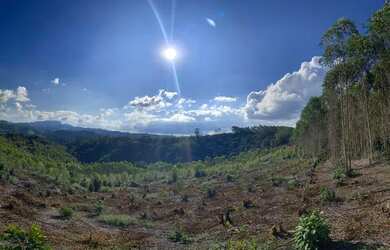 Imagem: A fazenda possui 20000m² de Área e está localizado em Domingos