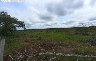 Imagem 3: FAZENDA À VENDA NO VALE DO ARAGUAIA - TO - 1.186 HECTARES (DUPLA APTIDÃO
