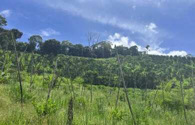 Imagem 3: Fazenda com 22 hectares Santana do Mundaú