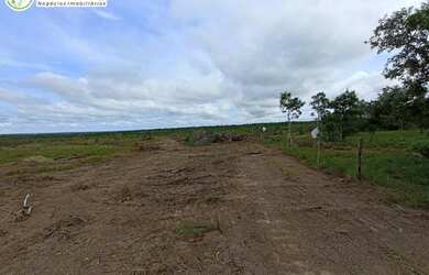 Imagem 14: FAZENDA À VENDA NO VALE DO ARAGUAIA - TO - 1.186 HECTARES (DUPLA APTIDÃO