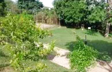 Imagem 14: Imóvel para aluguel possui 58 metros quadrados com 2 quartos em Cavalhada...