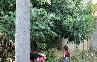 Imagem 15: Duas casas 4e5 Cômodos. Varanda, Área de serviço, 400m² de Áreae1...