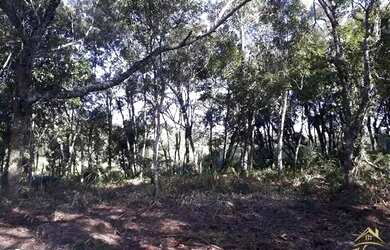 Imagem 9: Área de terras com vista deslumbrante para o vale e montanhas. Linha...