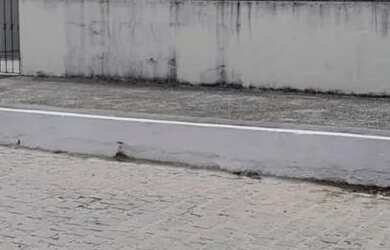 Imagem: A casa possui 2 Dormitórios, 1 Banheiro e 200m² de Área e