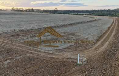 Imagem 10: Sítio com 17 alqueires terra vermelha em Quadra/SP
