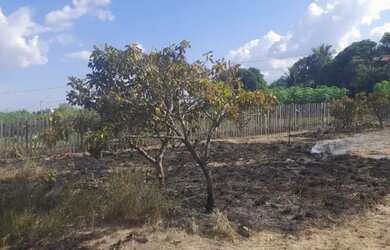 Imagem: O terreno possui 1m² de Área e está localizado em Senador