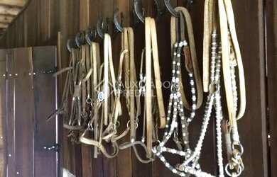 Imagem 15: Propriedade Rural no bairro Serra Grande