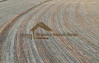 Imagem 14: Sítio com 17 alqueires terra vermelha em Quadra/SP