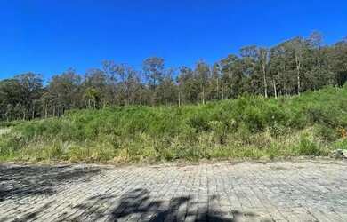 Imagem 5: CAXIAS DO SUL - Terreno Padrão - NOSSA SENHORA DA SAÚDE