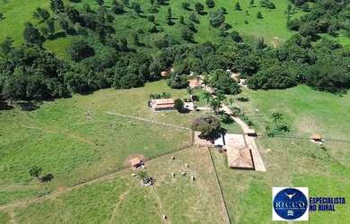 Imagem 10: Fazenda à Venda em Sanclerlândia - GO 39 Alqueires 100 Cultura